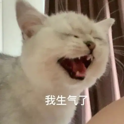 背景图丨今日份搞笑表情包
