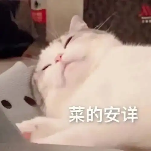 沙雕表情包放心吧,交给我一定会搞砸的
