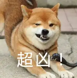 捏柴犬脸表情包
