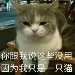 搞笑表情包微信表情