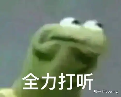 我在95分平台的第一次购买体验
