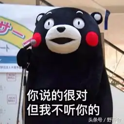 山寨礼服假铂金包风波不断,高颜值被廉价感败光
