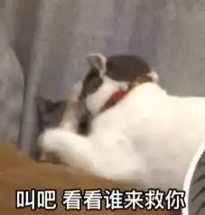 你有哪些又污又可爱的表情包
