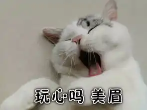 全新猫咪斗图表情包来啦
