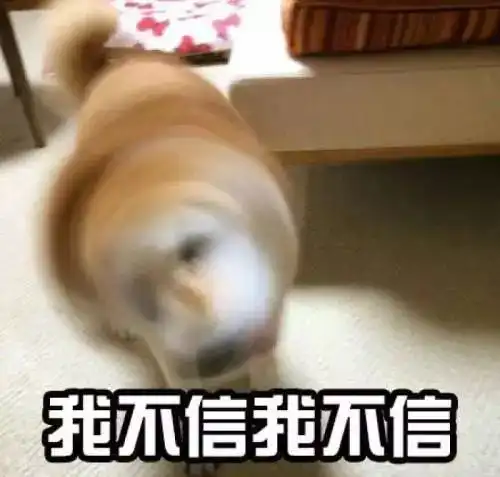 为什么都说喵星人都是禽兽
