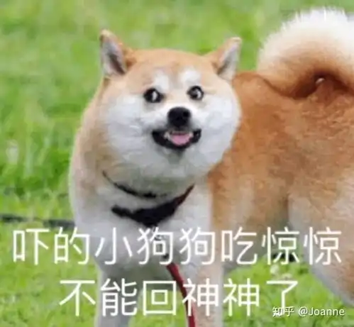 谁能聊一聊八一新星郭昊文呢感觉非常有前途啊可是资料太少了,,,,,,,
