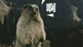 这这这是,这是鸭子
