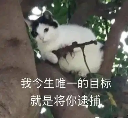 什么样的男生会很受女生喜欢很多女生都会喜欢这类男生
