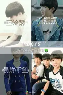 tfboys聊天表情带字
