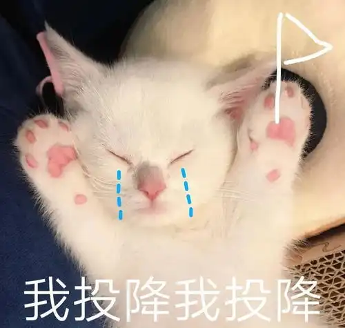 机智的恋爱生活福泥夫妇甜虐共存,二人的感情将何去何从
