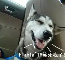 哈士奇表情大全装13必备,拿走不谢
