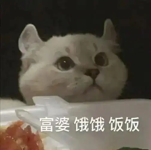 耽推火燎我不知言表面死对头,私下谈恋爱