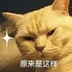 实拍下沙街头共享单车一车难求网友同时买了哈罗美团包月,仍骑不到车单车都去哪了
