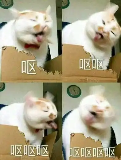 谁有那个表情包一只猫呕吐底下四个呕呕呕呕字
