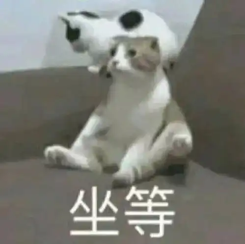 开开心心日常聊天必备表情包