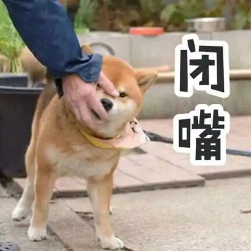 大学生鉴定手册出炉,各位同学对号入座啦
