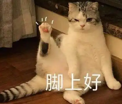 猫咪跑得快的秘诀,你了解多少
