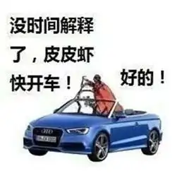 皮皮虾我们走是什么意思
