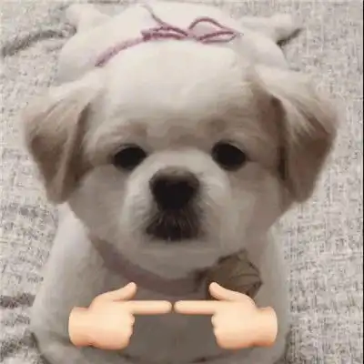 委屈巴巴专用表情包合集
