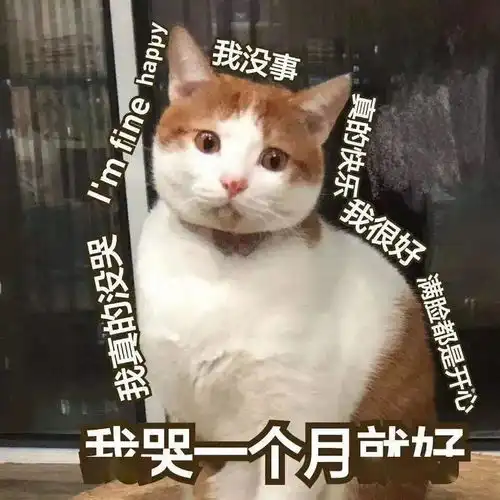 夏日清凉玩水攻略网红白沙滩狂野过山车疯狂大喇叭快来一起避暑吧
