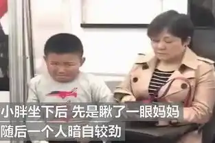 胖小孩地铁跟妈妈较劲被揍后敢怒不敢言,神级表情包让网友笑翻
