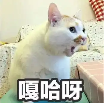 夏天sk戏精即将到来的8月,你以为就能一直这么凉快下去啦噜妈天气
