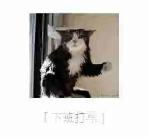 总结了一下最近的工作状态,是不是你动态图
