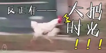 不如跳舞表情包鸡年