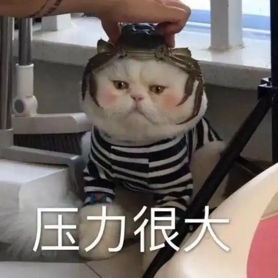 靠谱的雅思老师推荐,烤鸭们赶快冲
