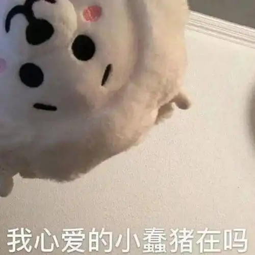 表情包你喜欢什么颜色酸辣粉
