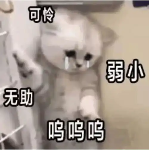 西航职院学子暑假现状想念西航职院
