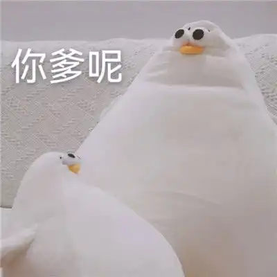 超可爱的玩偶公仔鸭子表情合集你礼貌吗超级沙雕的表情合集

