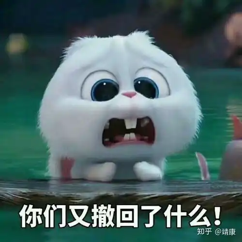 你最近常用的表情包是什么鸭
