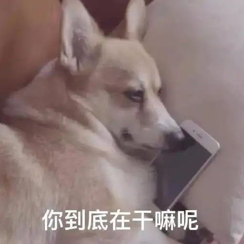 对方不再联系你,请你停止做这些没有意义的事,及时止损

