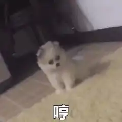 嗨收藏夹
