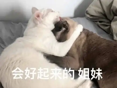 一周盘点虽迟但到视频末尾含宝箱钥匙
