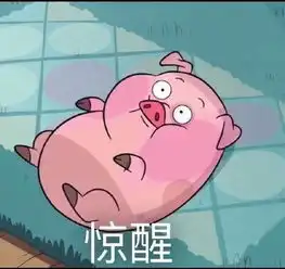 都说要嫁就嫁it男,钱多老实会干活
