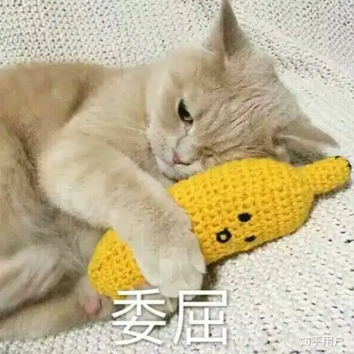 为什么有的人每天开麦吃鸡都玩不腻
