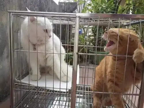 这是在喝水还是在滴眼药水
