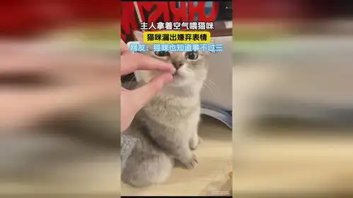 主人拿着空气喂猫咪,猫咪漏出嫌弃表情,网友猫咪也知道事不过三
