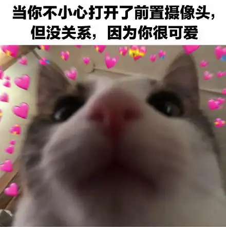 猫猫表情包你今天也很可爱哦
