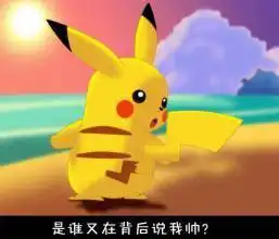 皮卡丘表情包
