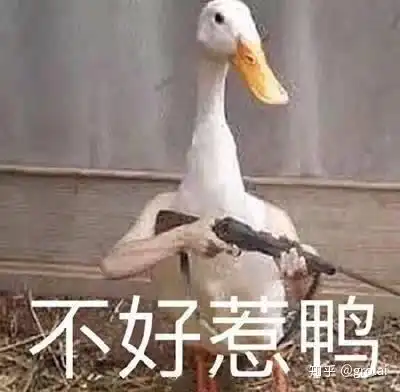 和法医谈恋爱什么感觉
