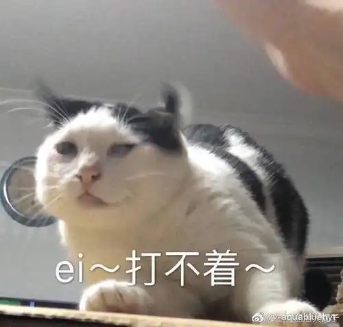 如何看待王者荣耀主播厌世小孤影8月1日直播事件
