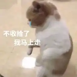 全新猫咪表情包,快快收藏
