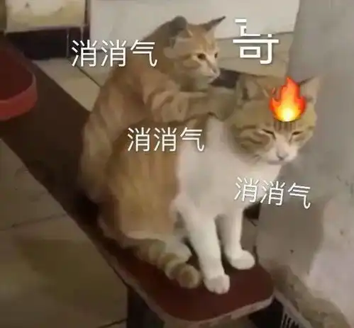 双台风又双叒来对广州的影响有多大
