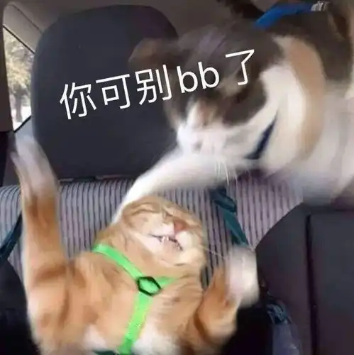 沙雕表情你看起来不正常
