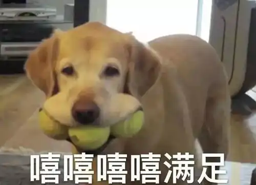 最近十堰人的朋友圈都在传这个网站里面的东西让人心跳加速
