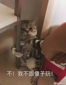 星稀月朗的主贴用户中心新浪股吧财经
