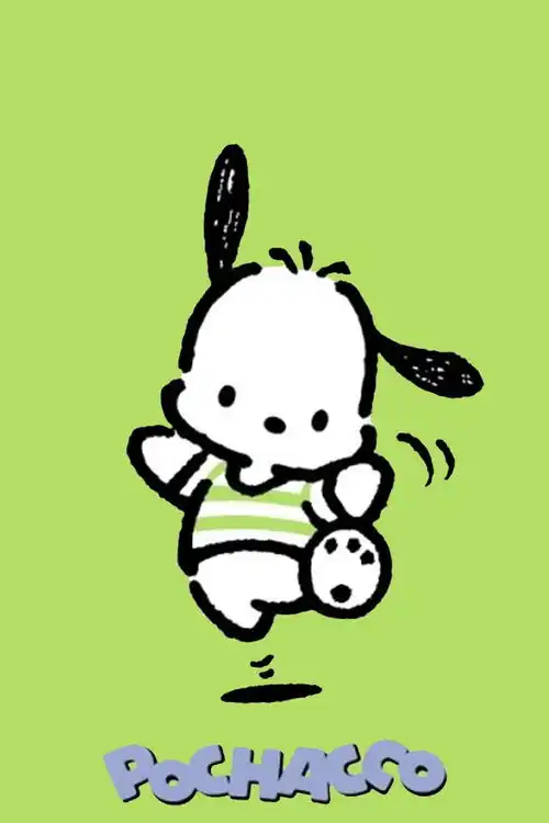帕恰狗pachacco
